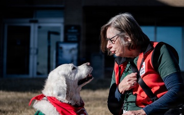 The four-legged therapist on duty