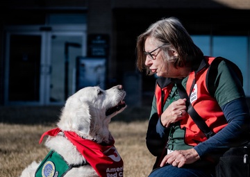 The four-legged therapist on duty