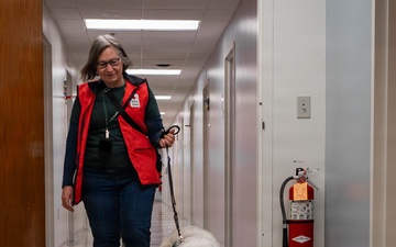 The four-legged therapist on duty