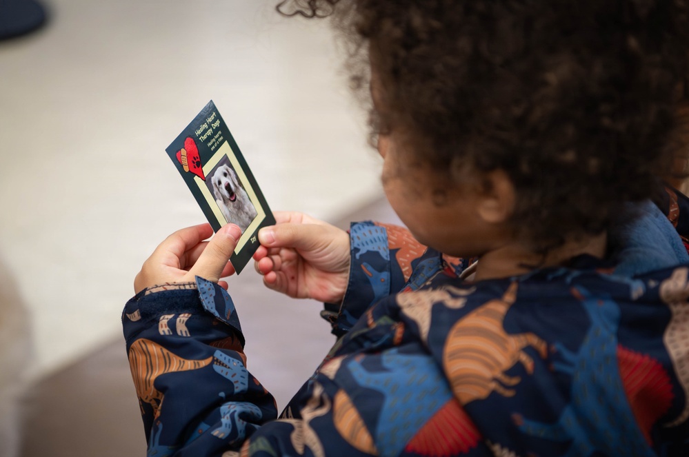 The four-legged therapist on duty