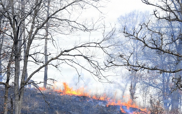 Camp Ripley Officials Address Wildfire Incident