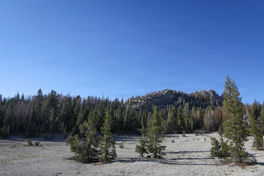 Inyo National Forest Landscape
