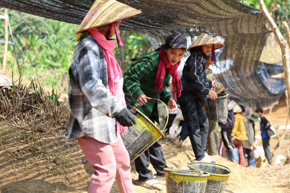 2026-3LA Recovery Operations