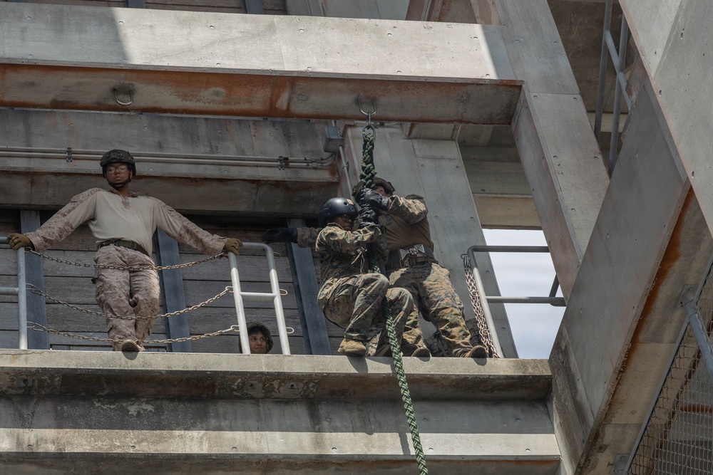 Marines with 3rd MLG Conduct Rappel Training