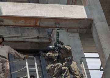 Marines with 3rd MLG Conduct Rappel Training