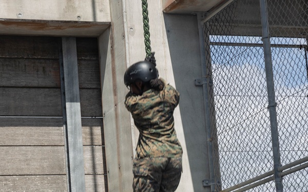 Marines with 3rd MLG Conduct Rappel Training