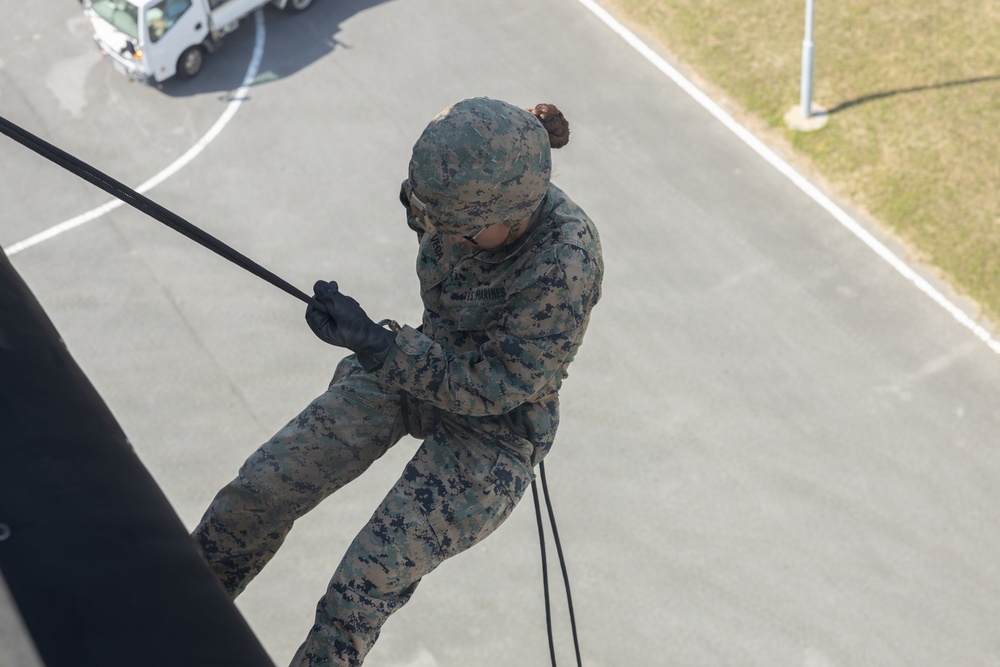 Marines with 3rd MLG Conduct Rappel Training