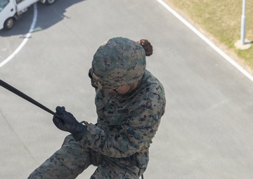 Marines with 3rd MLG Conduct Rappel Training