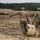 3rd ID Soldiers team-up to train sling load alongside Polish Land Forces
