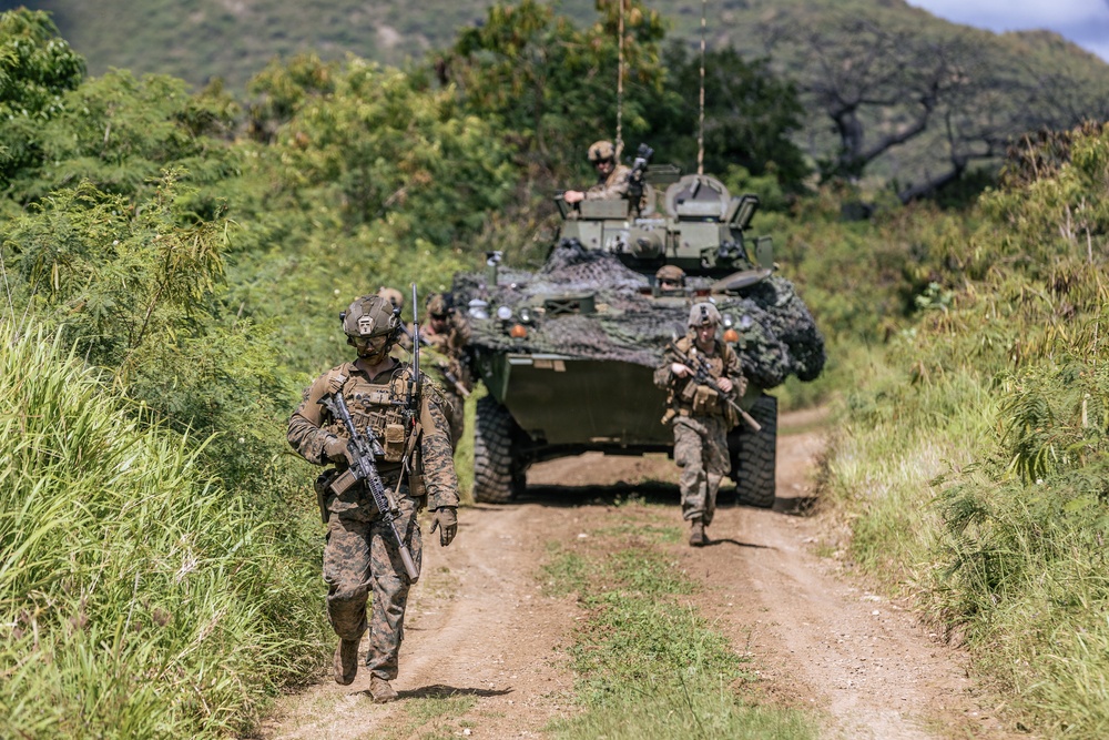 22nd MEU (SOC) | LAR Conducts Maneuver and Patrol Training at Camp Santiago