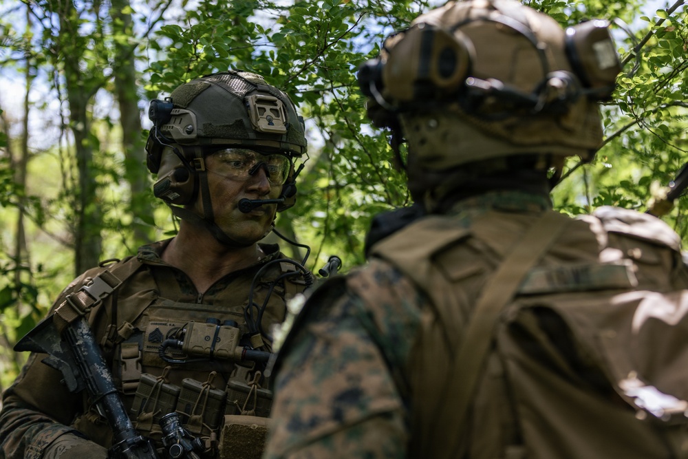 22nd MEU (SOC) | LAR Conducts Maneuver and Patrol Training at Camp Santiago