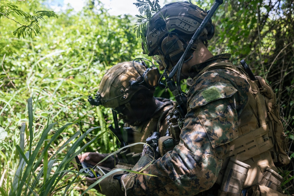 22nd MEU (SOC) | LAR Conducts Maneuver and Patrol Training at Camp Santiago