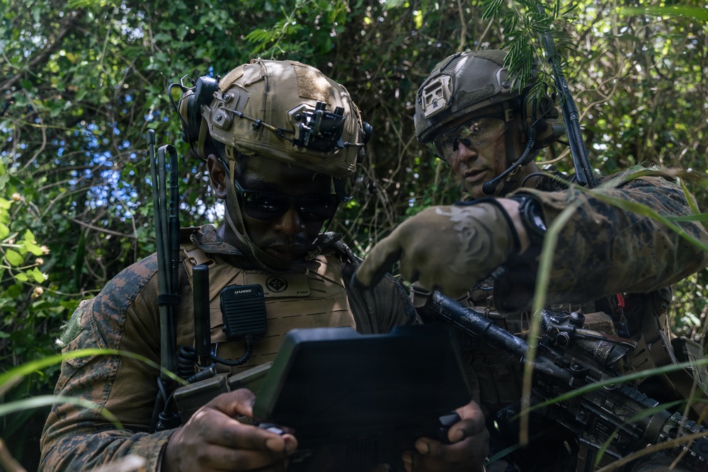 22nd MEU (SOC) | LAR Conducts Maneuver and Patrol Training at Camp Santiago