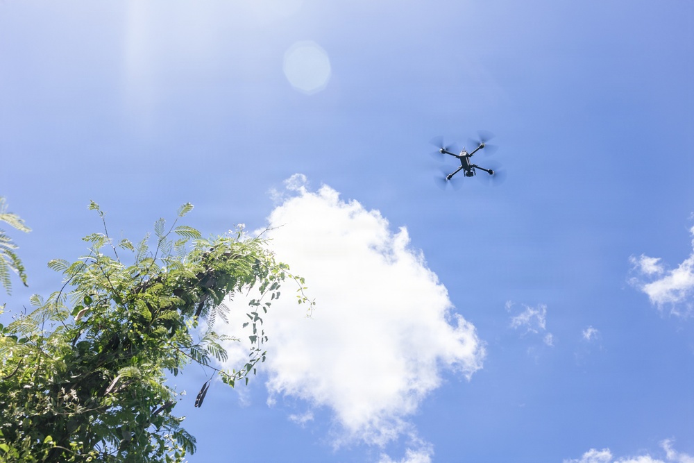 22nd MEU (SOC) | LAR Conducts Maneuver and Patrol Training at Camp Santiago