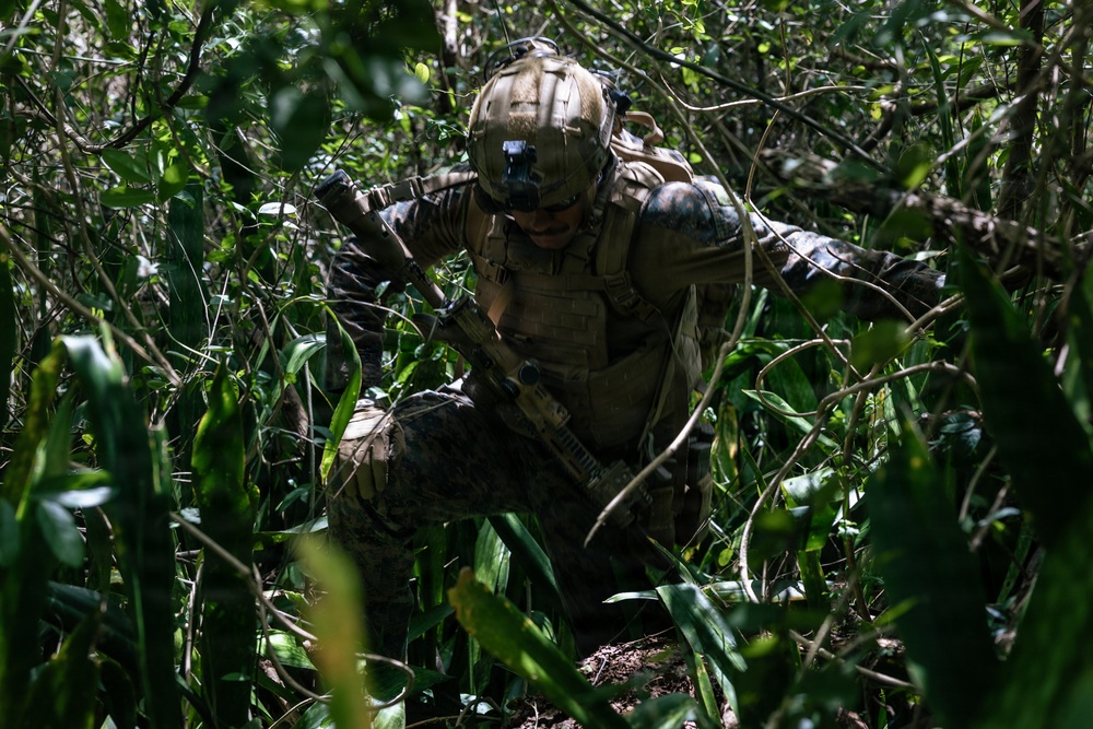 22nd MEU (SOC) | LAR Conducts Maneuver and Patrol Training at Camp Santiago