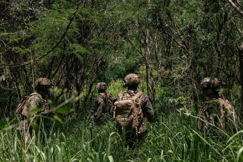 22nd MEU (SOC) | LAR Conducts Maneuver and Patrol Training at Camp Santiago