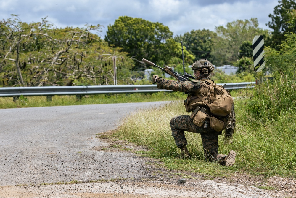 22nd MEU (SOC) | LAR Conducts Maneuver and Patrol Training at Camp Santiago