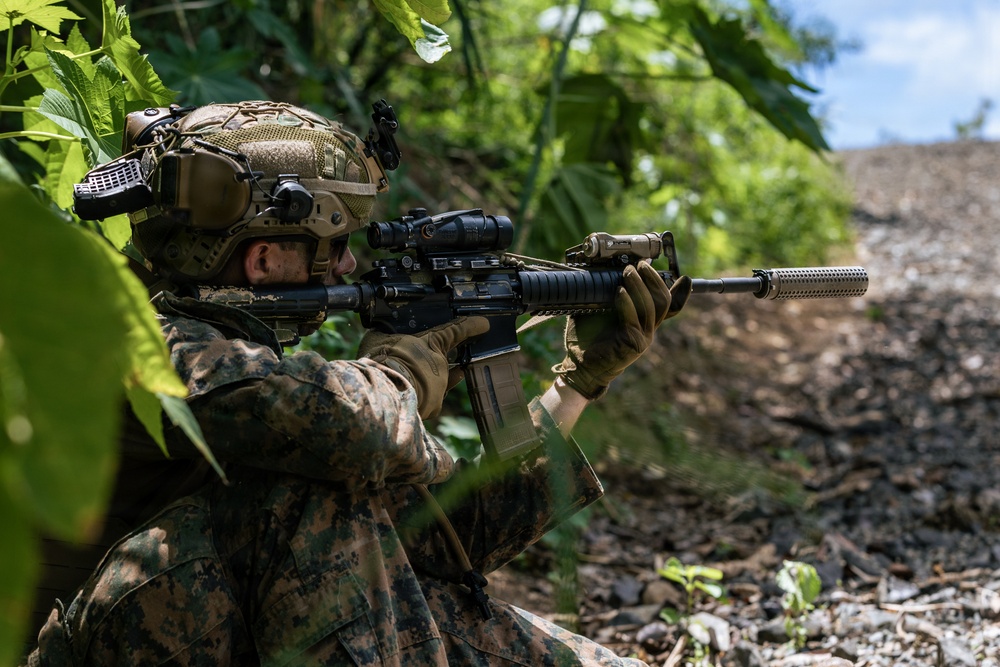 22nd MEU (SOC) | LAR Conducts Maneuver and Patrol Training at Camp Santiago