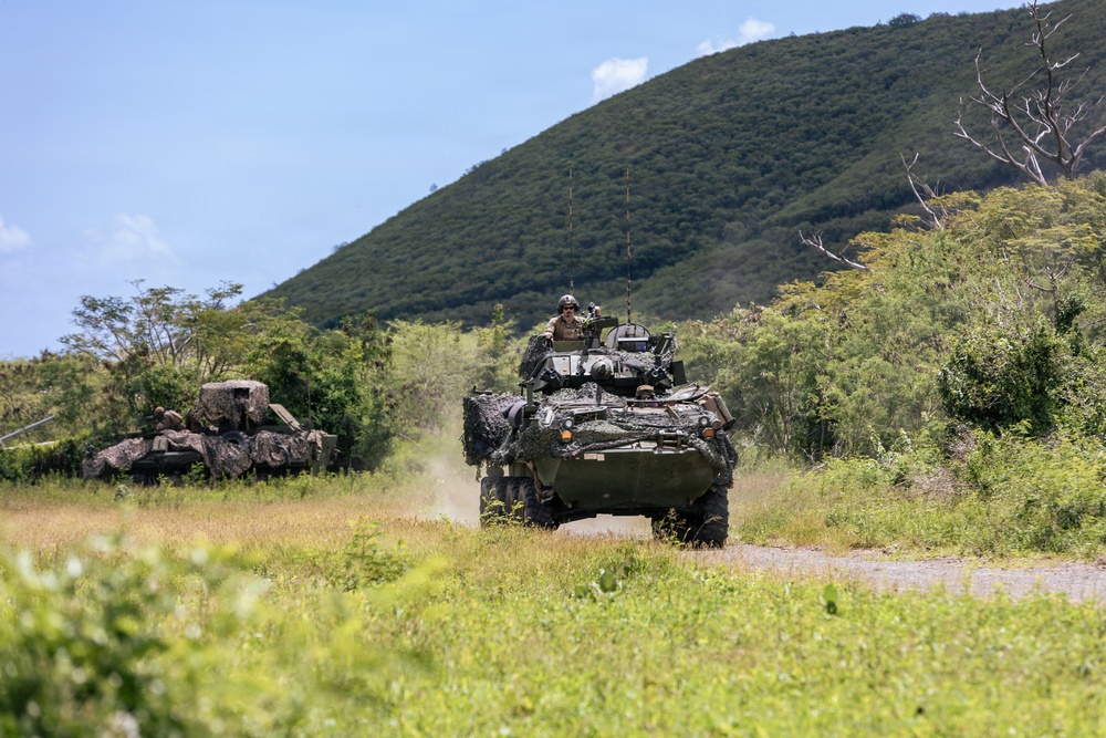 22nd MEU (SOC) | LAR Conducts Maneuver and Patrol Training at Camp Santiago