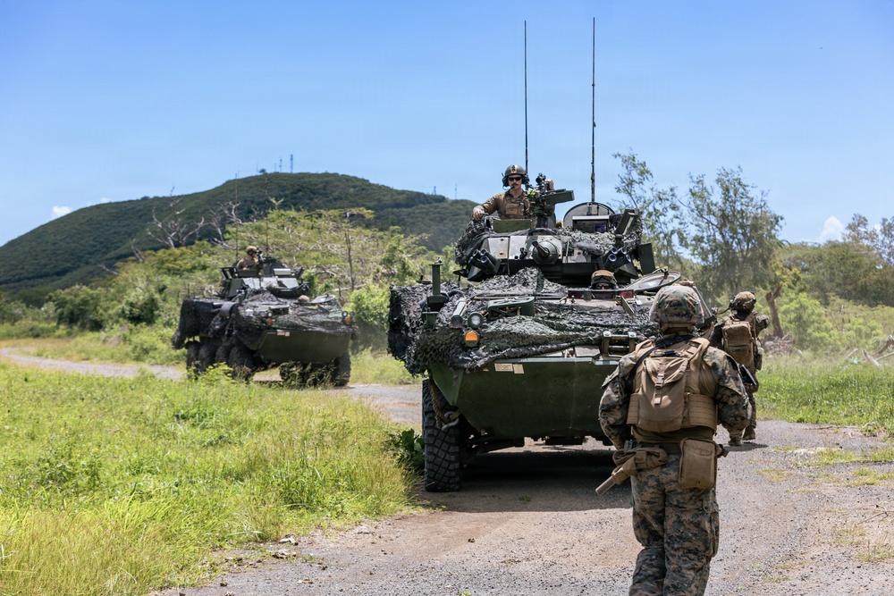 22nd MEU (SOC) | LAR Conducts Maneuver and Patrol Training at Camp Santiago