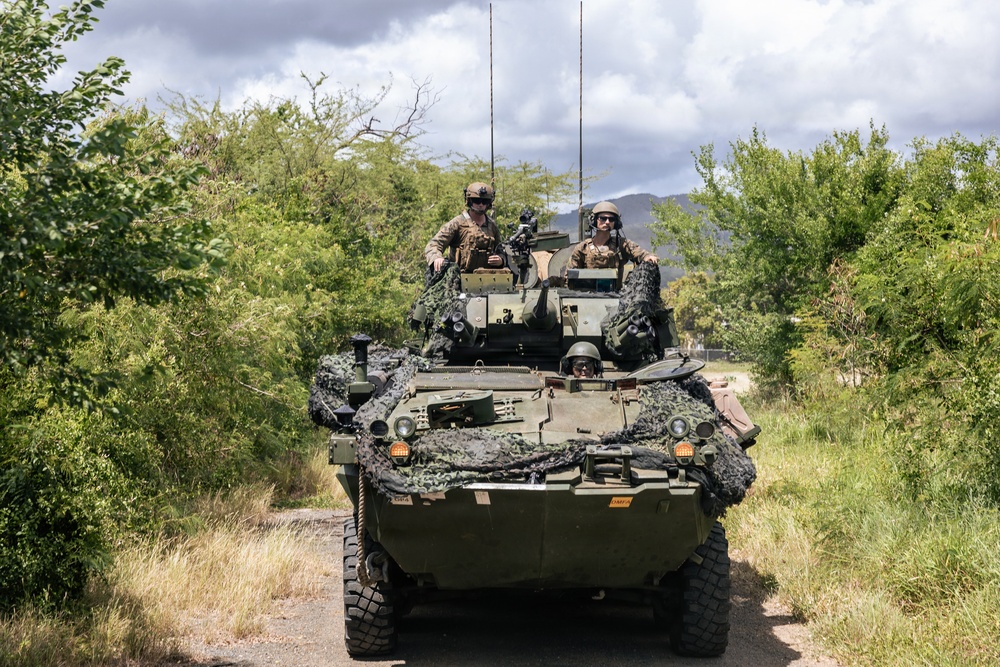 22nd MEU (SOC) | LAR Conducts Maneuver and Patrol Training at Camp Santiago