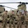 3rd ID Soldiers team-up to train sling load alongside Polish Land Forces