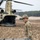 3rd ID Soldiers team-up to train sling load alongside Polish Land Forces