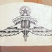 From Tasking to Triumph: The Birth of the Military Freefall Parachutist Badge