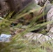 U.S. Marines, Australian, New Zealand partner forces participate in first phase of Bushmaster 26 Competition