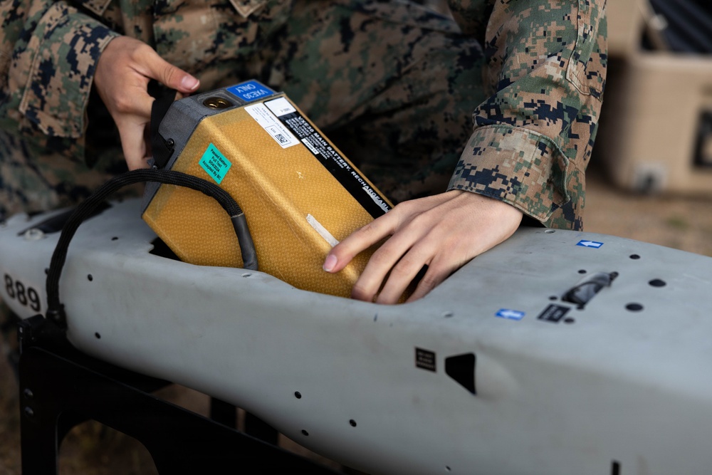 U.S. Marines, Australian, New Zealand partner forces execute second phase of Bushmaster 26 Competition