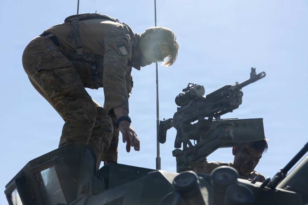 U.S. Marines, Australian, New Zealand partner forces execute second phase of Bushmaster 26 Competition