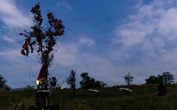 Forged in Darkness: 25th ID Prepares for Joint Operations with Philippine Army