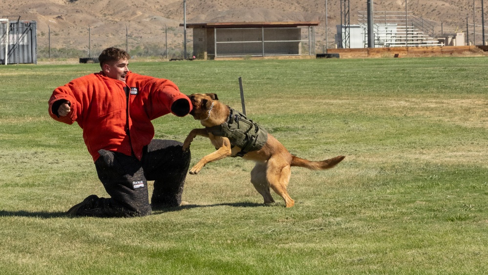 K9 Demonstration