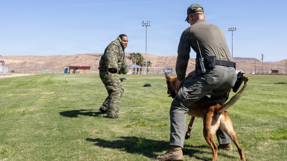 K9 Demonstration