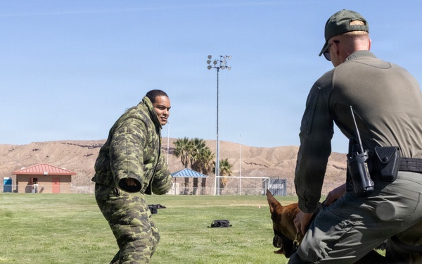 K9 Demonstration