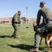 K9 Demonstration