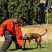 K9 Demonstration