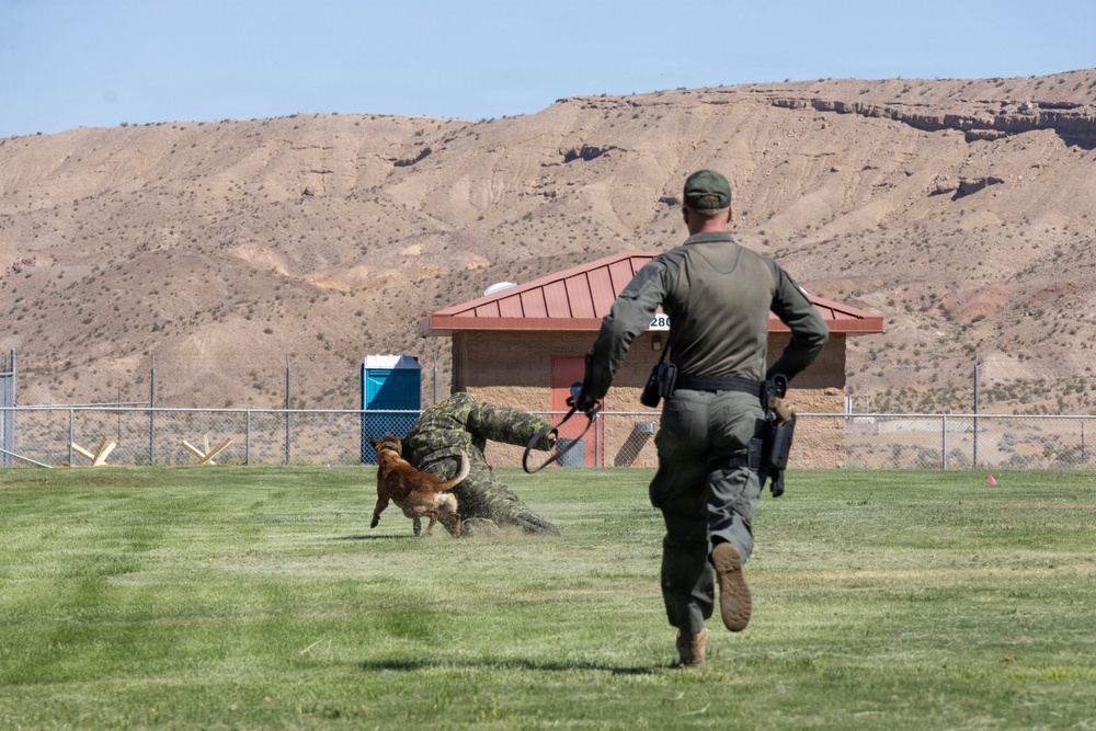 K9 Demonstration