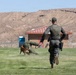 K9 Demonstration