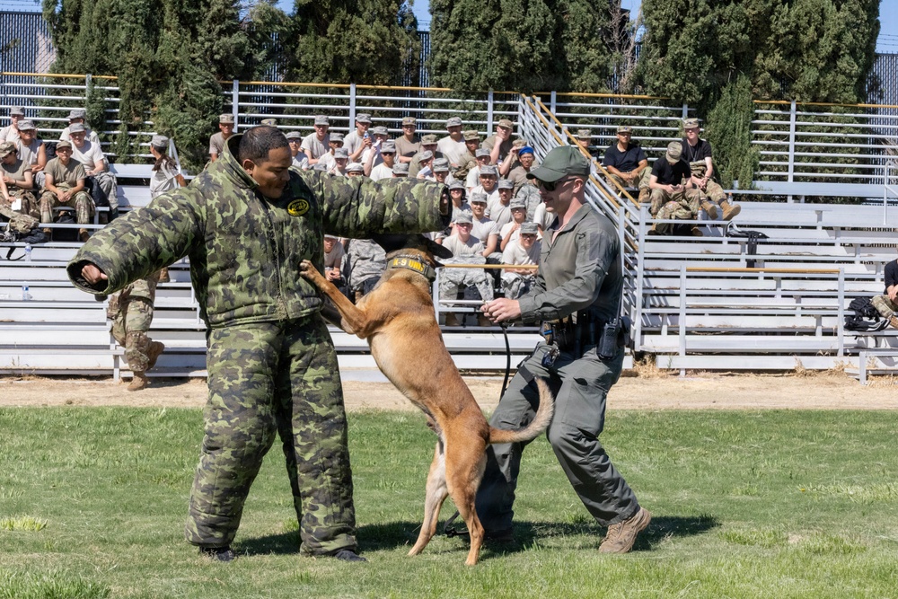 K9 Demonstration