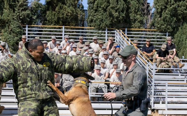 K9 Demonstration