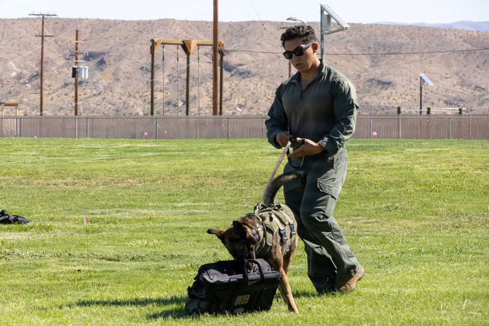 K9 Demonstration