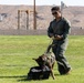 K9 Demonstration