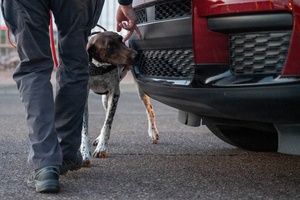 Strategic Voices Episode 4 - Critical Minerals - Who Sets the Prices?