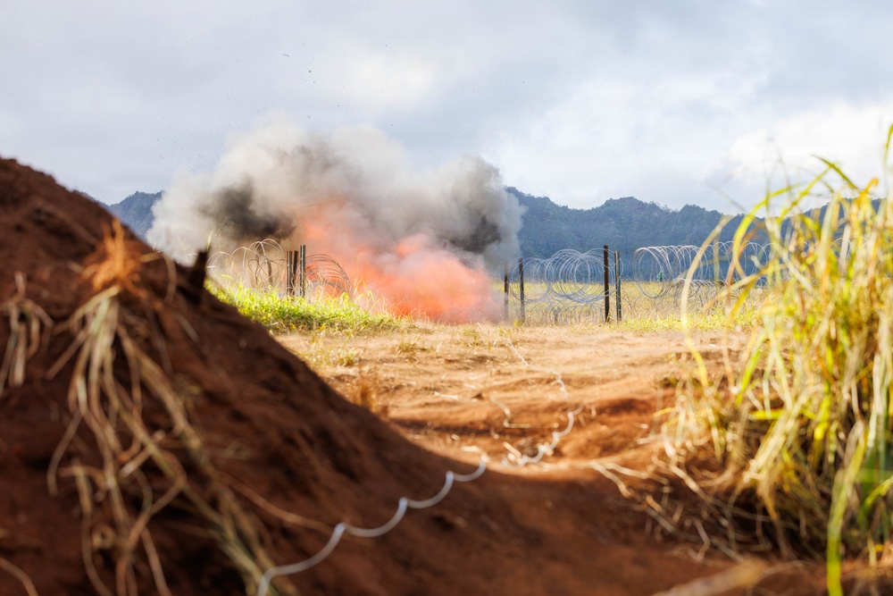 95th Combat Engineers conduct live-fire and breach training