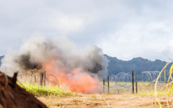 95th Combat Engineers conduct live-fire and breach training