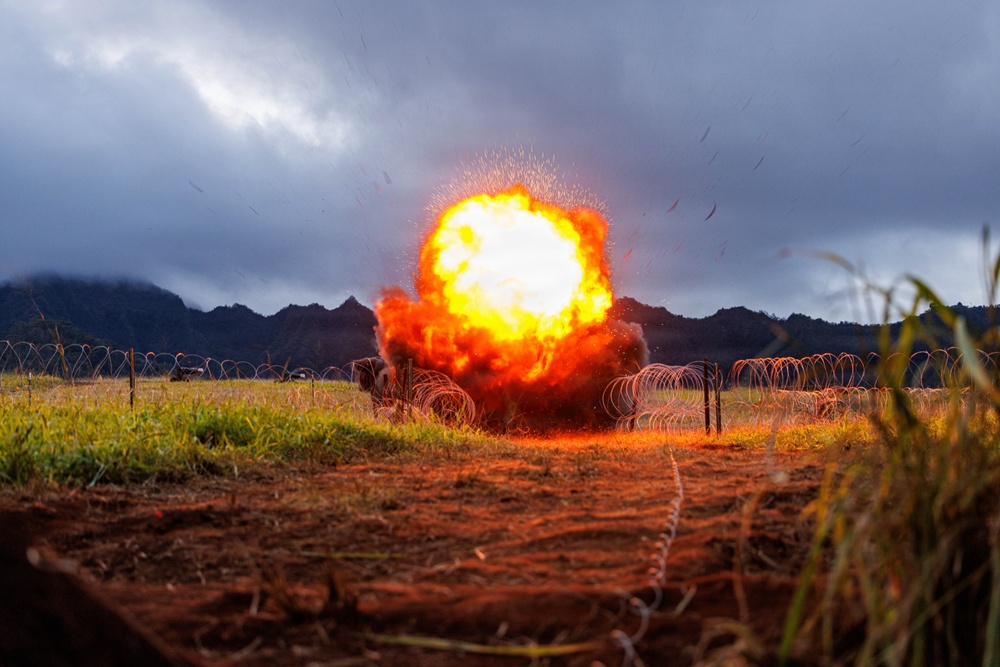 95th Combat Engineers conduct live-fire and breach training
