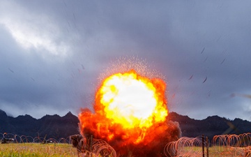 95th Combat Engineers conduct live-fire and breach training
