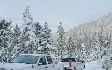 Timber Cruise in Tongass National Forest