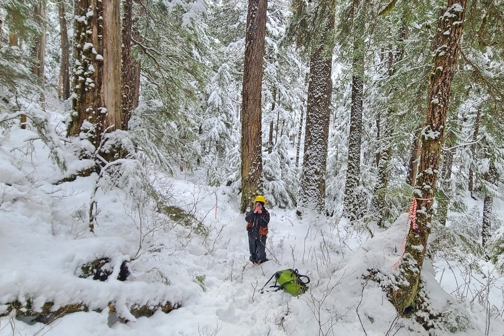 Timber Cruise in Tongass National Forest